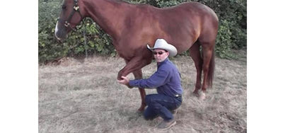 Troy Brandenburg's Equine Common Sense Stretches™