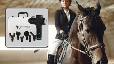 Why use an Equine Massage Gun on a horse?
