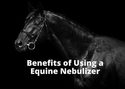 Why use a nebulizer on a horse?