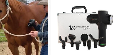 Percussion Equine Massage Gun Attachment Uses