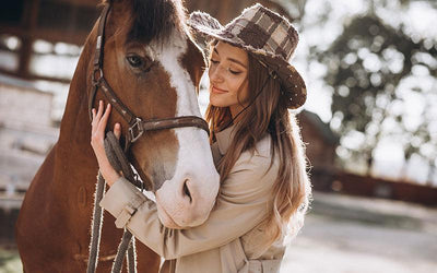 An Equine Massage Gun & Cold Laser Therapy Can Help Your Horse!