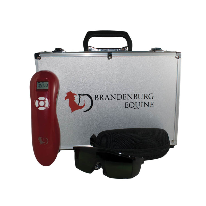 Cold Laser Therapy Device & Massage Gun Bundle | Brandenburg Equine.